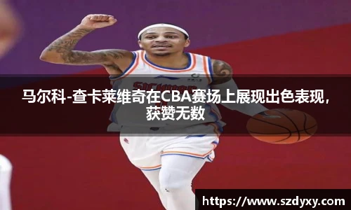马尔科-查卡莱维奇在CBA赛场上展现出色表现，获赞无数