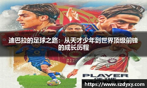 米兰体育官网